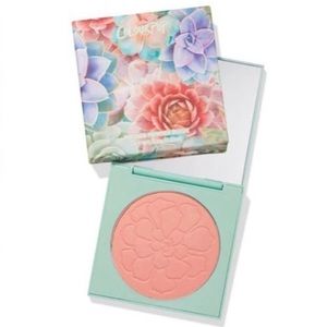 Special Bundle  2 Garden Variety Blush Colourpop